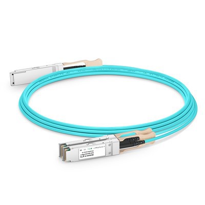 200g qsfp56 rau 2x 100g QSFP28 Nquag Optical Cable (AOC), 1m {6} m} m